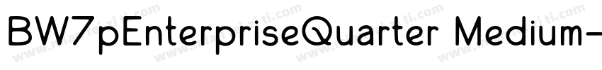 BW7pEnterpriseQuarter Medium字体转换